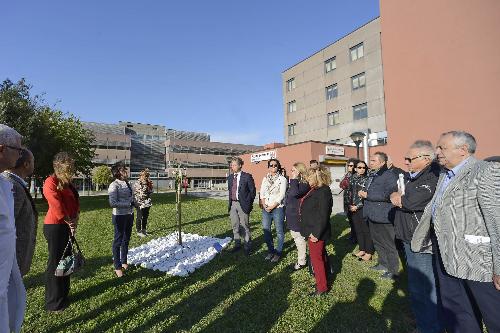 Sara Vito (Assessore regionale Ambiente ed Energia) interviene alla cerimonia di piantumazione di un albero a ricordo delle vittime dell’amianto - Monfalcone 29/09/2017